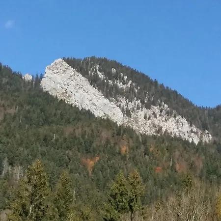 Le Chartreux De Pierre De Chartreuse Saint-Pierre-de-Chartreuse