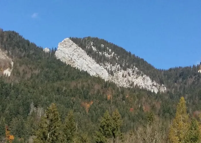 Le Chartreux De Pierre De Chartreuse Saint-Pierre-de-Chartreuse