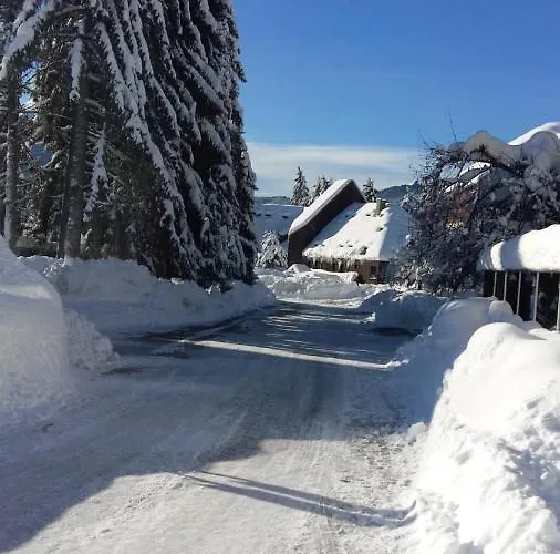 Le Chartreux De Pierre De Chartreuse Apartamento