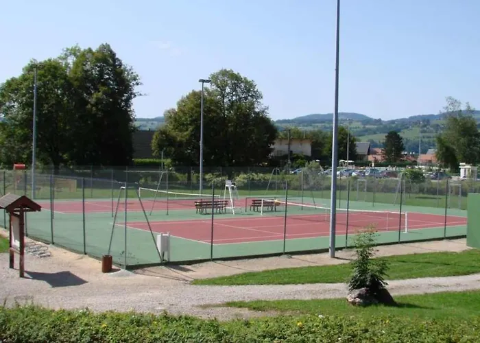 Le Chartreux De Pierre De Chartreuse *